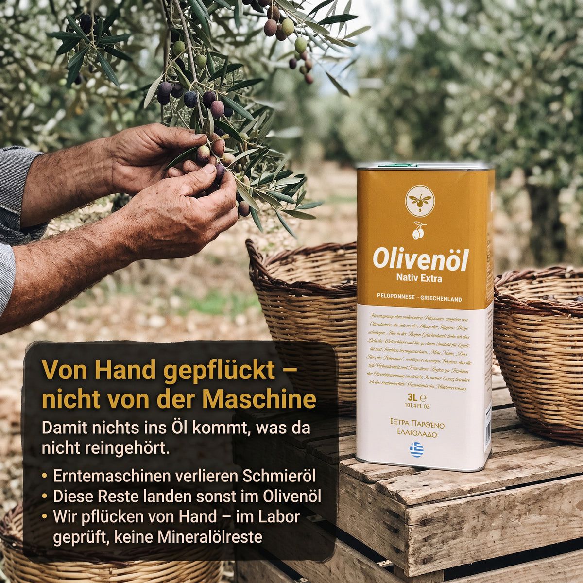 Natives Olivenöl extra 3L von der Peloponnes